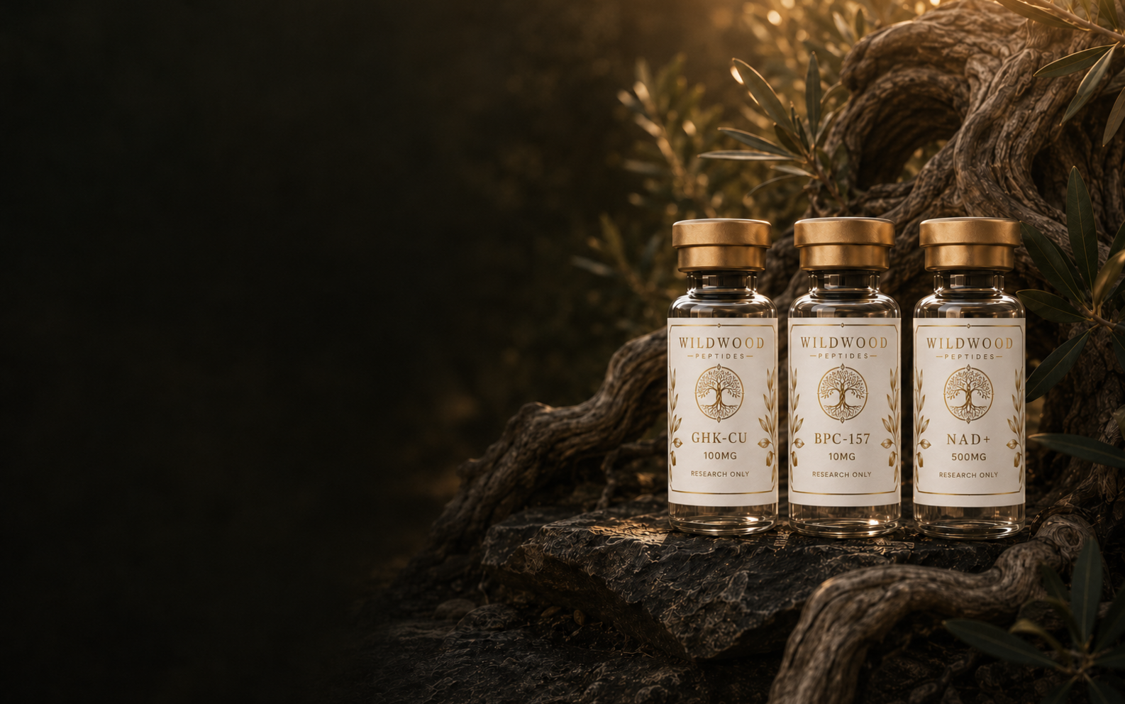 Wildwood Peptides research vials among ancient olive roots
